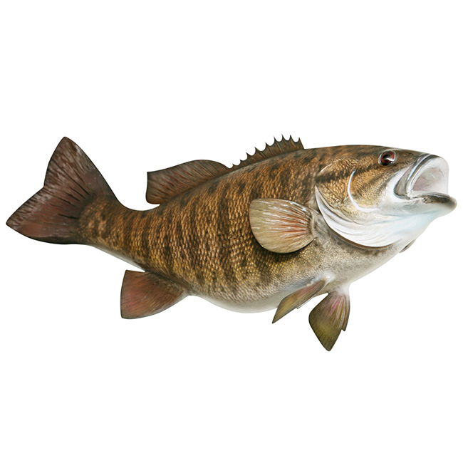 Walleye Fishing Stickers for Sale
